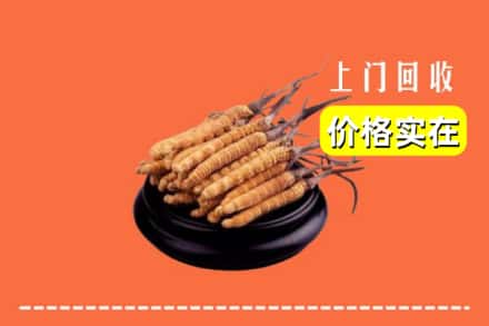 辽阳宏伟区回收冬虫夏草